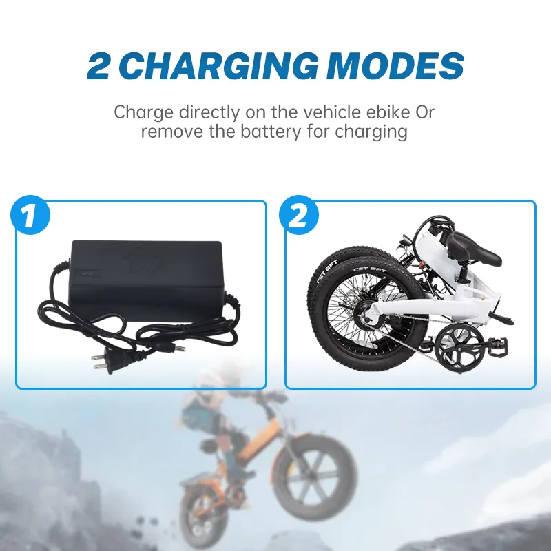 Two e-bike charging modes: direct or battery removal.