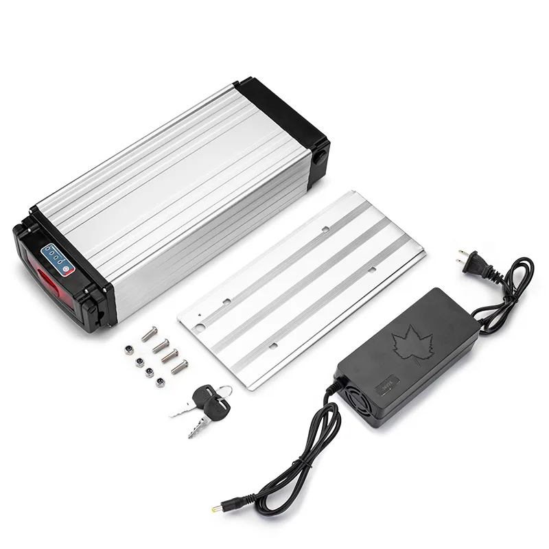 Electric bike battery, charger, keys, mounting plate, screws.